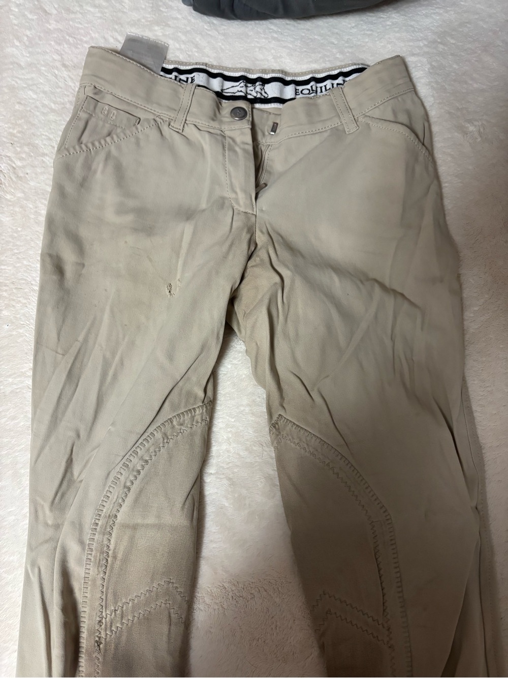 Equilines breeches